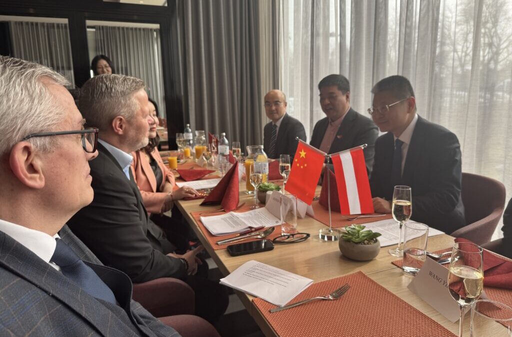 Ningbo Vice Mayor Zhao Visits Wiener Neustadt & Vienna