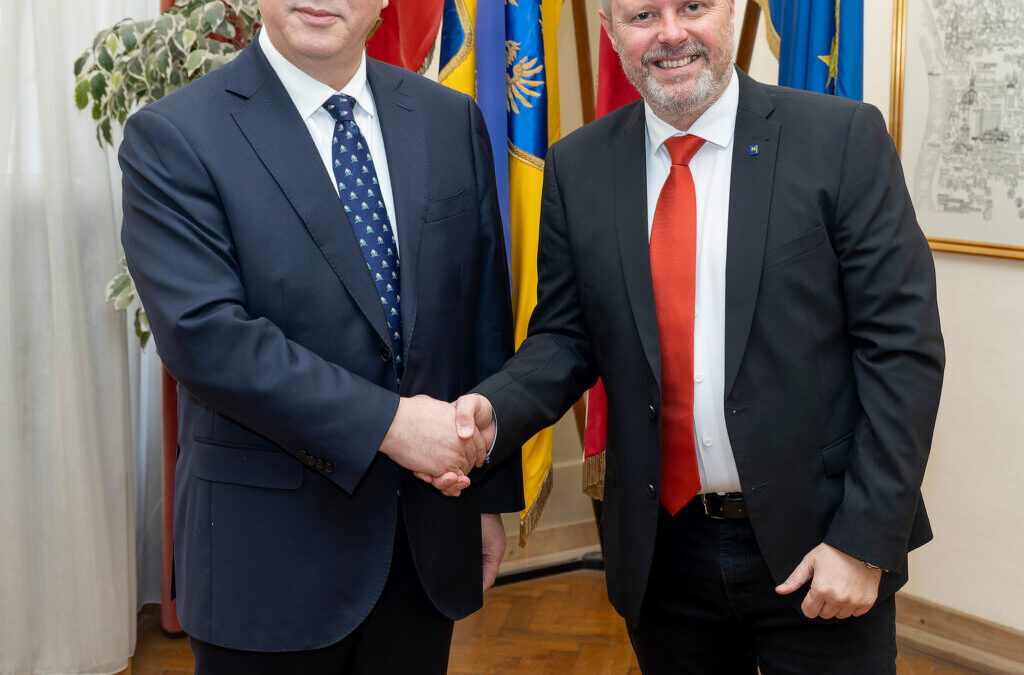 Strengthening a Friendship: Reception for Secretary Mr. Peng in Wiener Neustadt